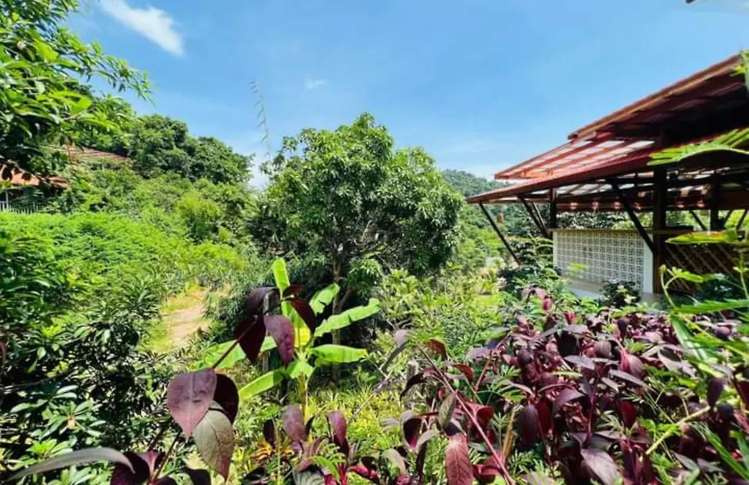 Veranda Natural Resort-1